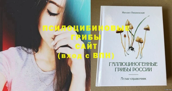 эйфоретик Абинск