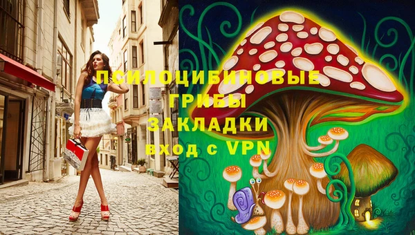 героин Алзамай