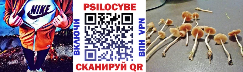 Галлюциногенные грибы ЛСД  Каменск-Уральский 