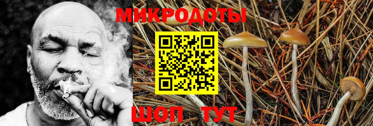 Каменск-Уральский  Псилоцибиновые грибы Cubensis  Вход с VPN  Галлюциногенные грибы мухоморы 
