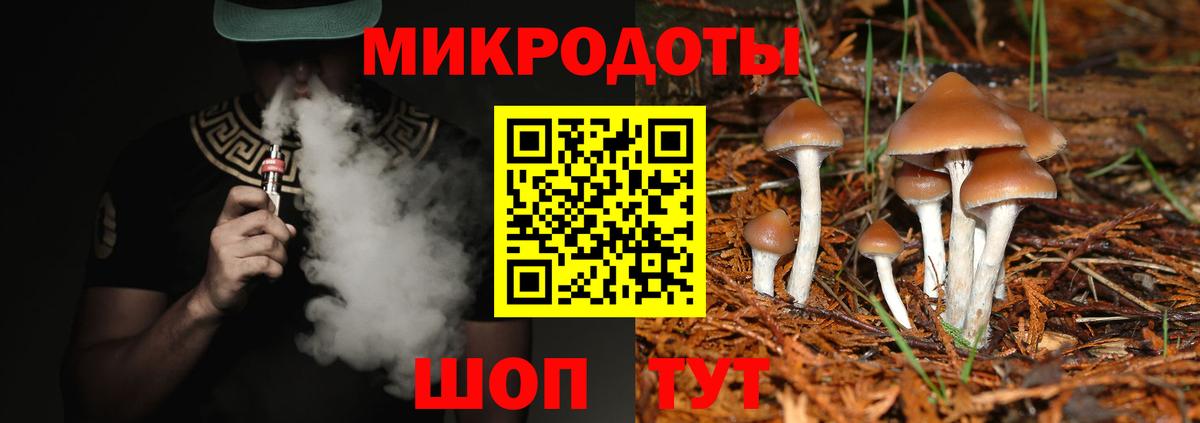 Псилоцибиновые грибы GOLDEN TEACHER Каменск-Уральский